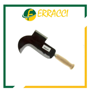 PENNATO RONCOLA CAMPOBASSO CM19